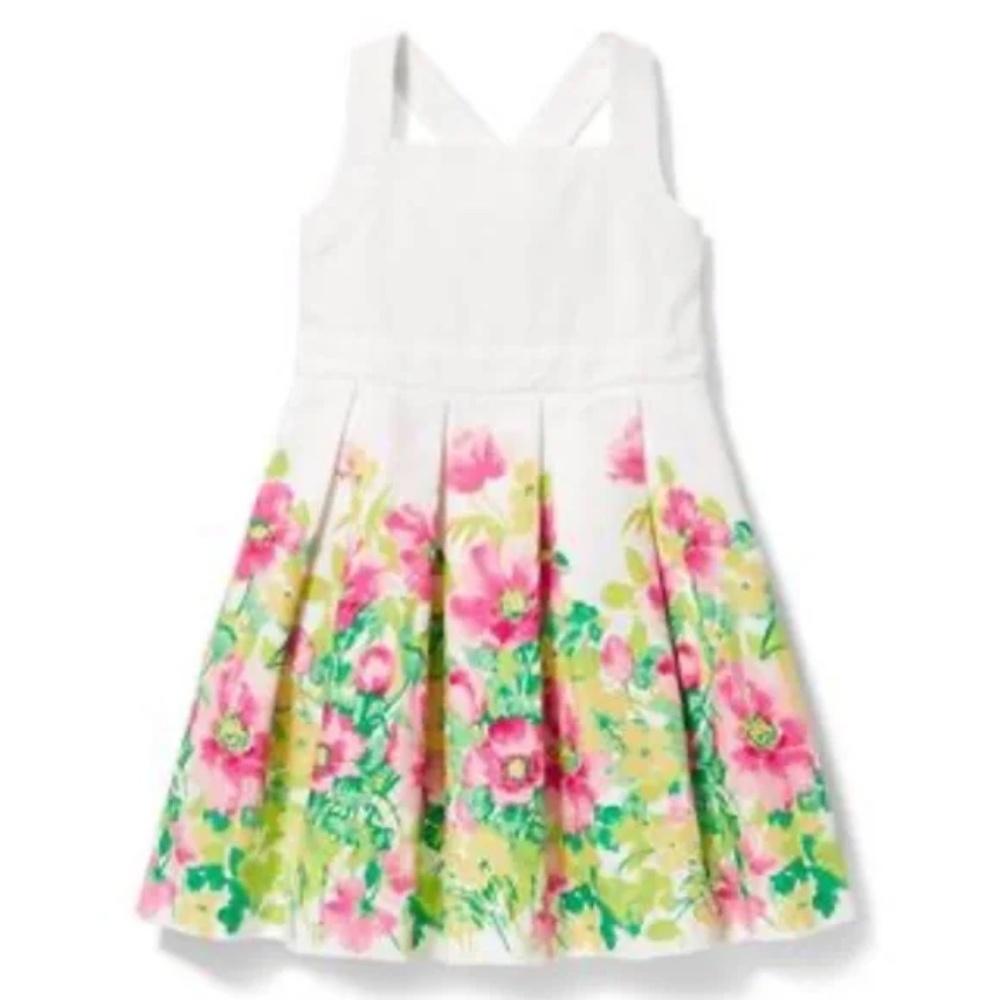 Janie and Jack Floral Border Dress (6-12M)